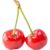 Organic Cherry
